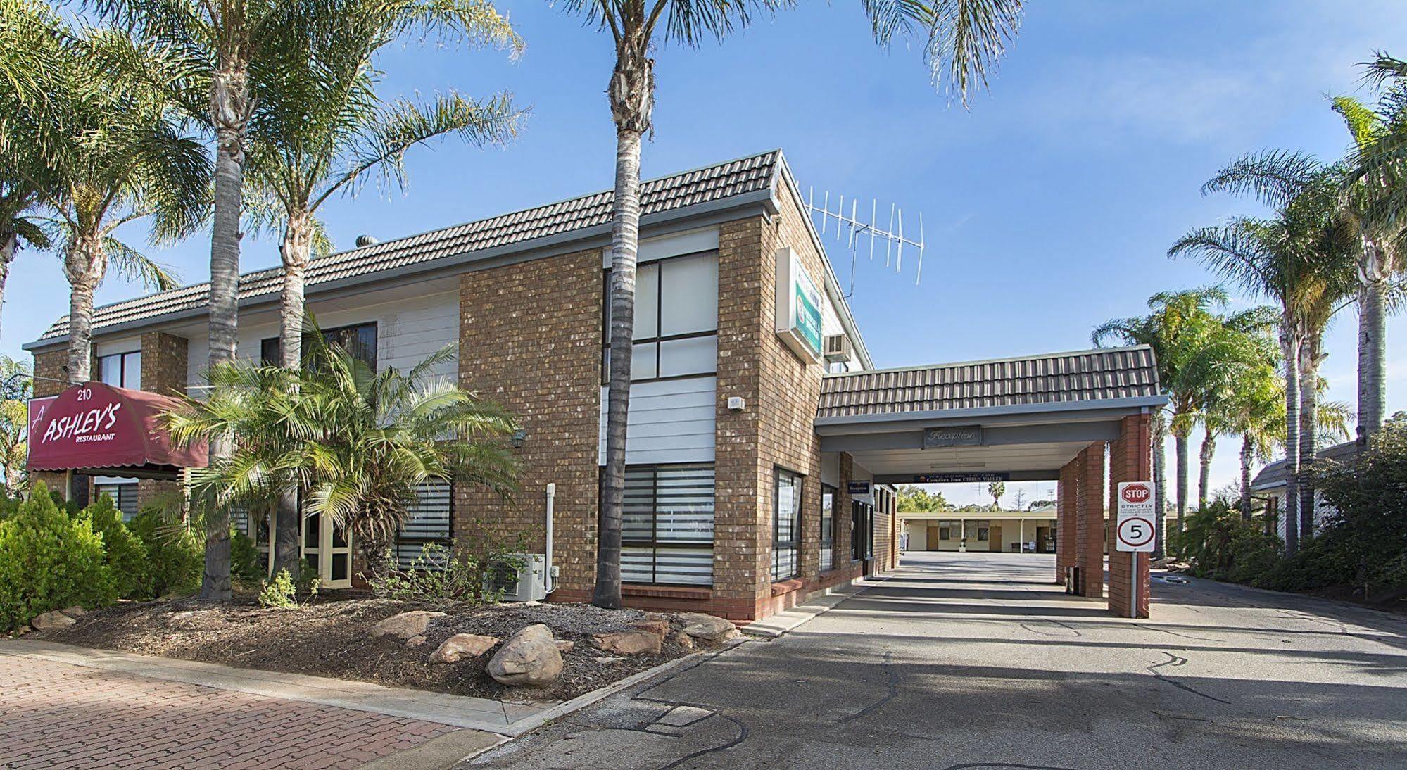 Citrus Valley Motel Renmark Eksteriør billede