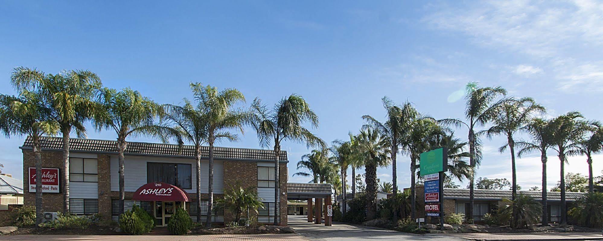 Citrus Valley Motel Renmark Eksteriør billede